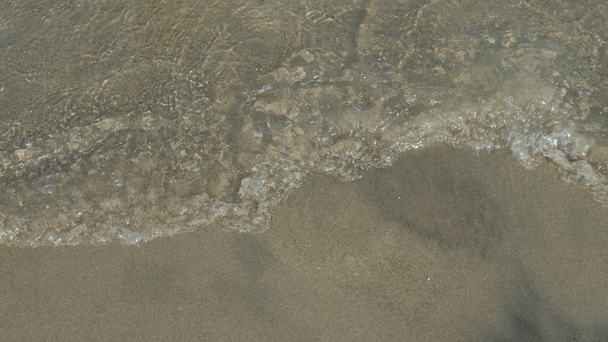 lake ontario record image 2