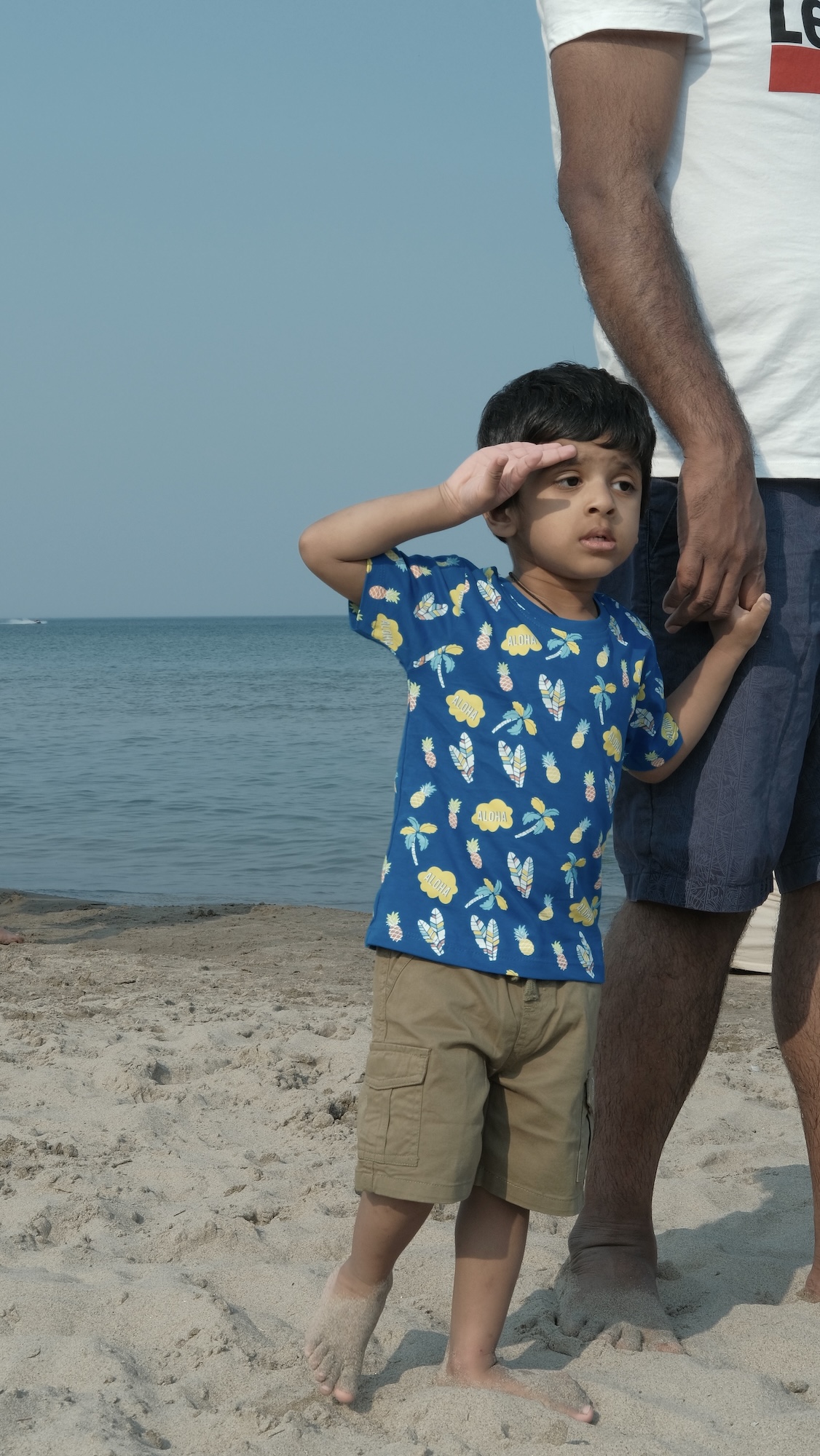 lake ontario record image 8