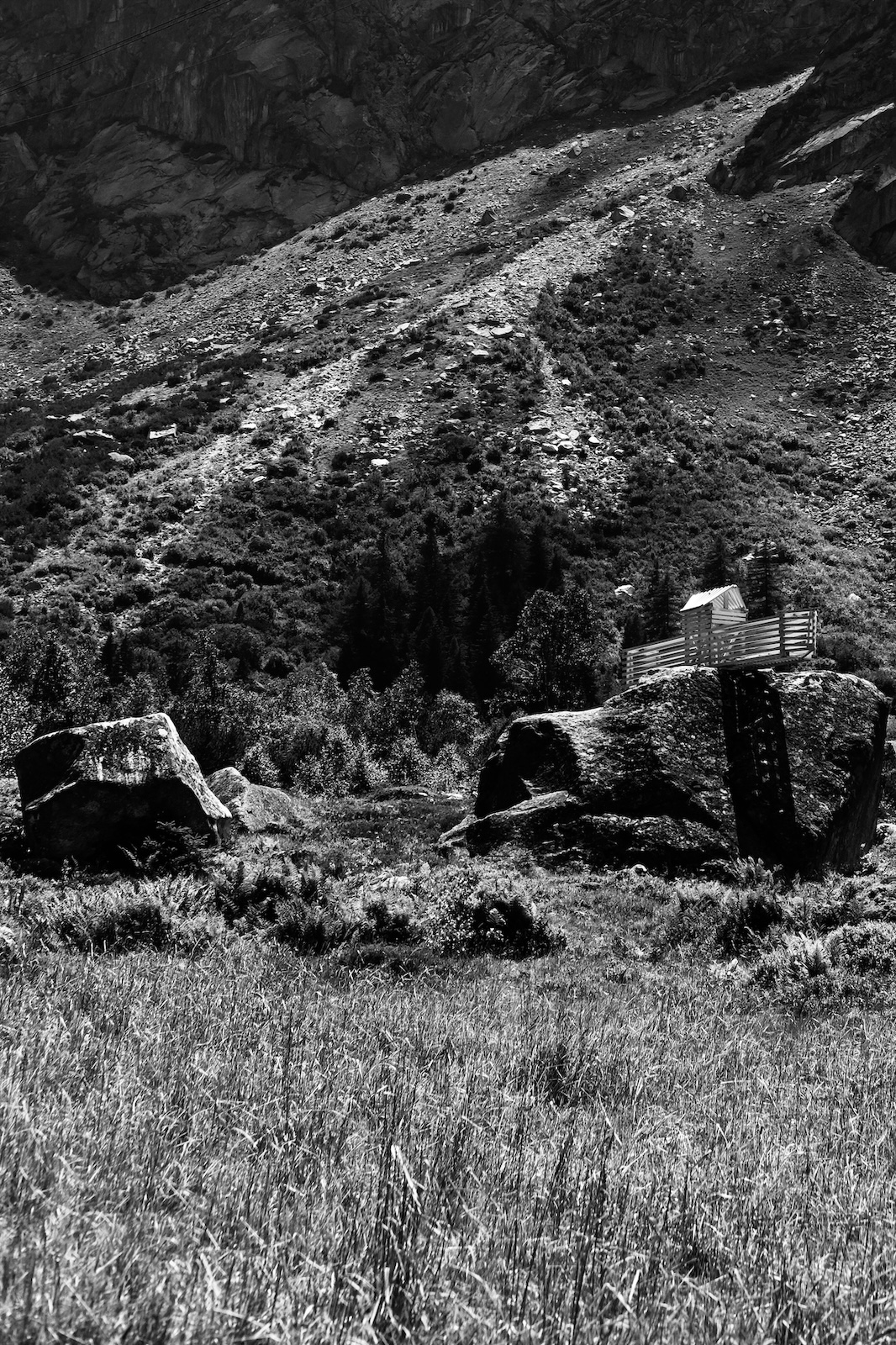 Noir et Blanc image 5